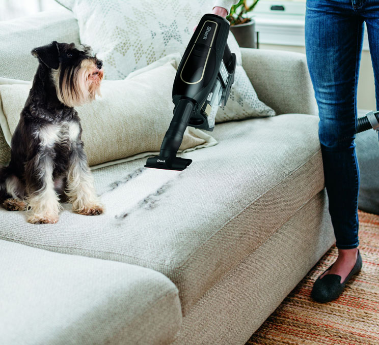 דייסון או שיאומי: מיהו השואב האלחוטי הטוב ביותר?